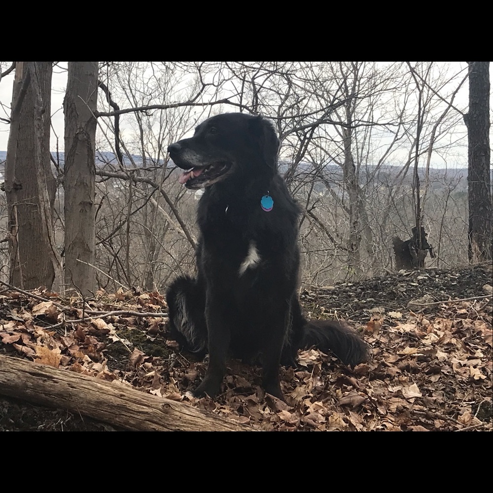 Meet your Posher, Petra